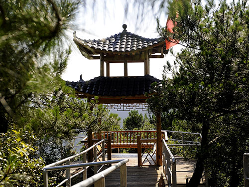 原始次森(sēn)林(lín)