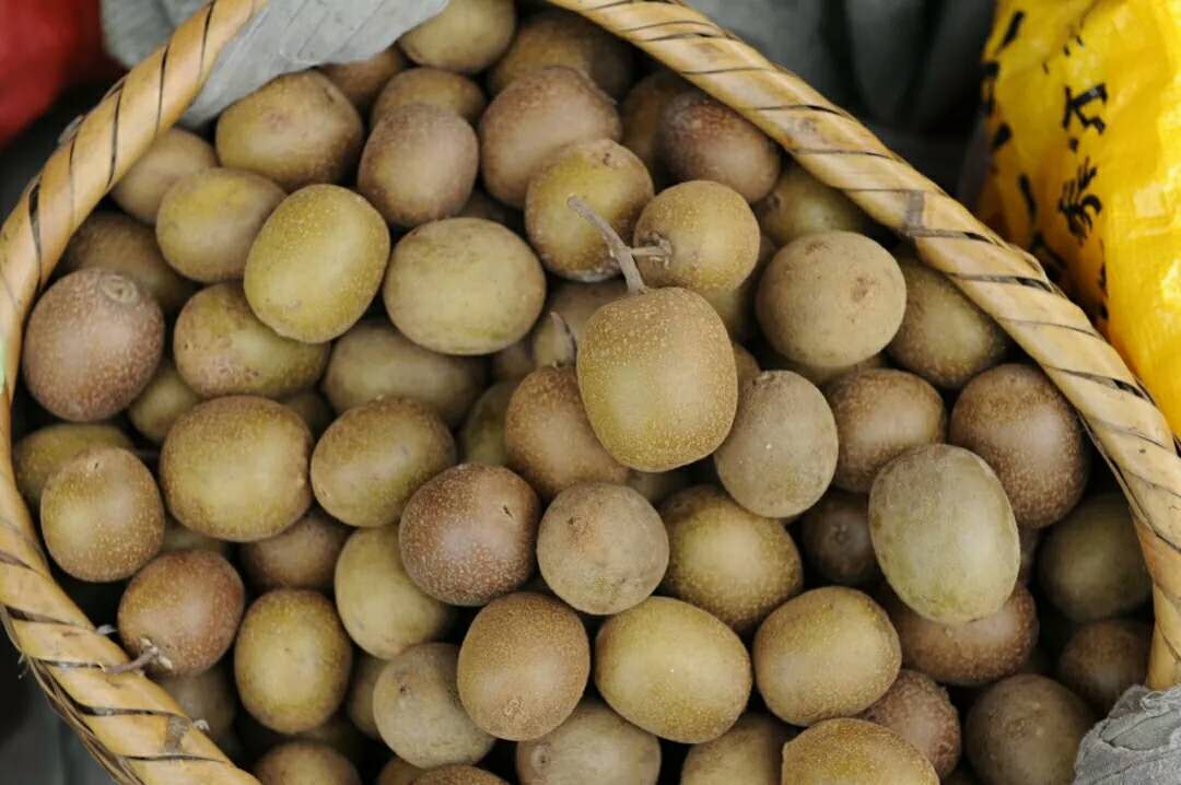 湖(hú)南(nán)旅遊開(kāi)發公司,懷化(huà)旅遊開(kāi)發公司,懷化(huà)峽谷探幽,懷化(huà)石林(lín)花(huā)山(shān)植物(wù)園