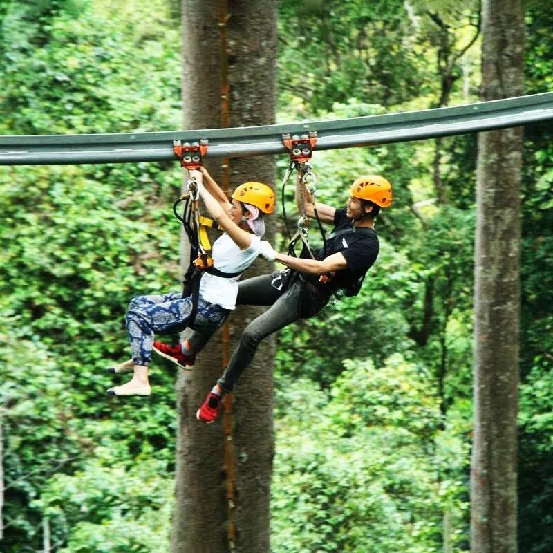 原子(zǐ)飛(fēi)車(chē)（35元）